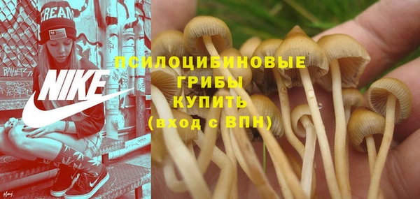 метамфетамин Козельск