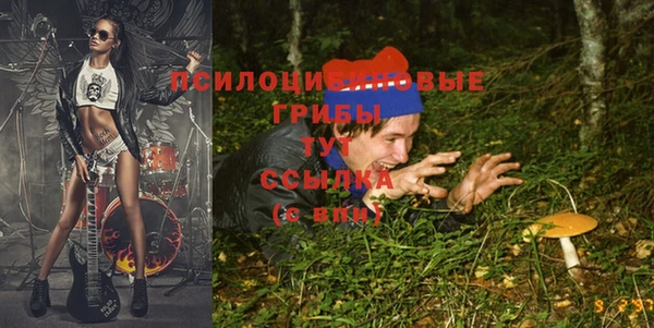 mdma Кодинск