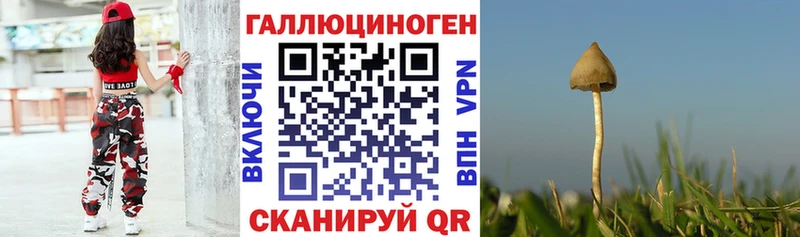 Галлюциногенные грибы мухоморы  Купить закладки  Большой Камень 